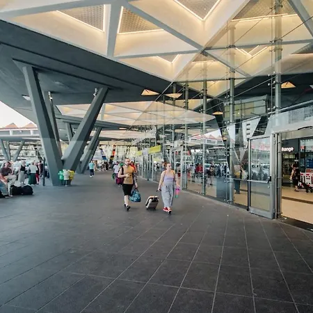 Ortensia In Station * Napoli